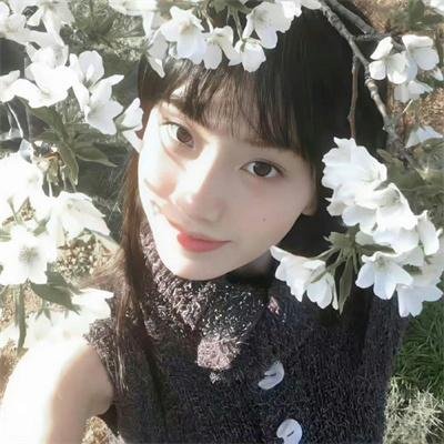 边塞丽春花